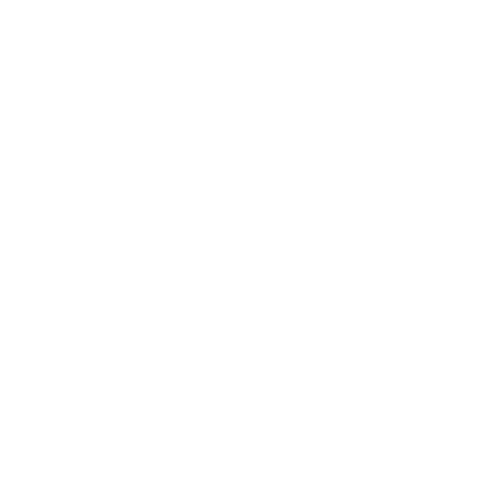 Wütendes Buch von Carina von Reichmann