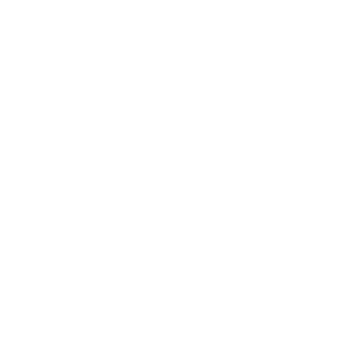 Wütendes Buch von Ronja Wagler