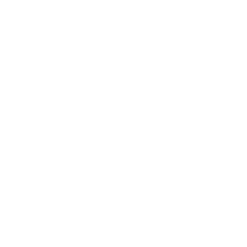 Wütendes Buch von Anna Plehnert