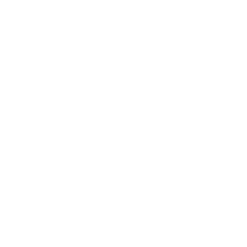 Wütendes Buch von Anna Plehnert