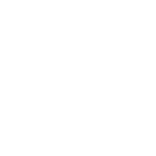 Wütendes Buch von Sophia Holstein