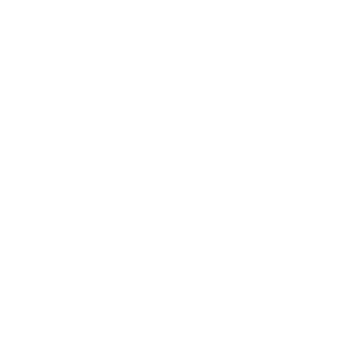 Wütendes Buch von Anton irgendwas