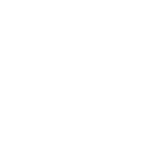 Wütendes Buch von Andrea Wandinger