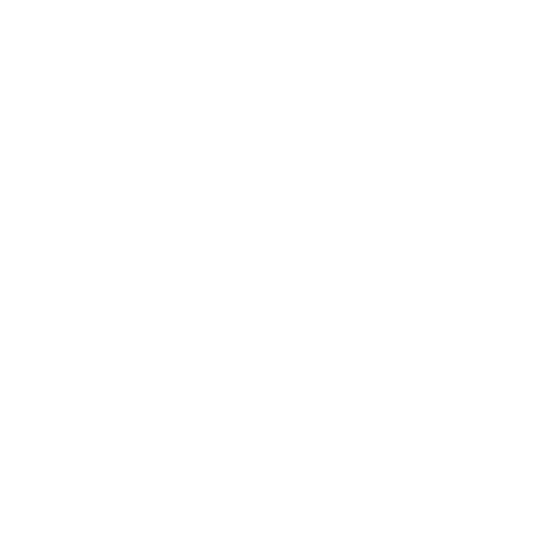 Wütendes Buch von Andrea Wandinger