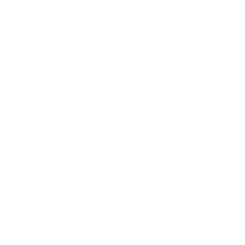 Wütendes Buch von Konrad Staisch