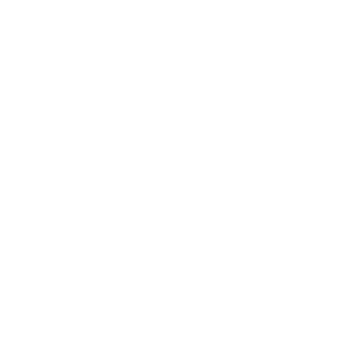 Wütendes Buch von Carolin Pysalski