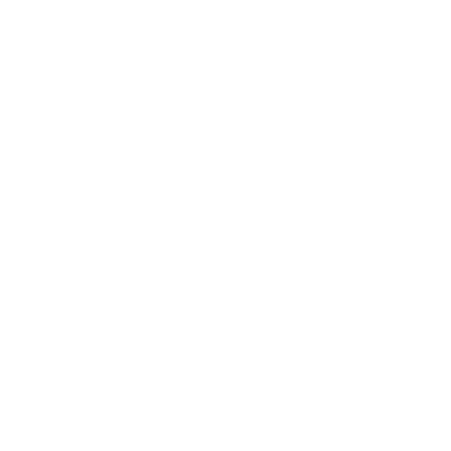 Wütendes Buch von Luise Wüstling