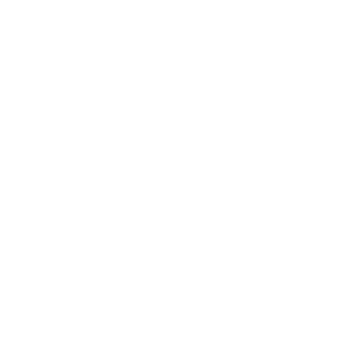 Wütendes Buch von Alexandra Borski