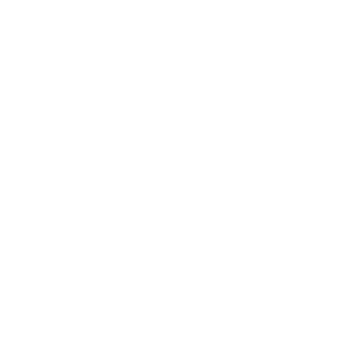 Wütendes Buch von Alexandra Borski