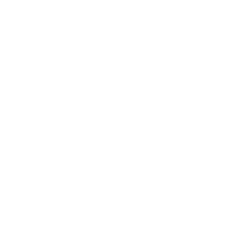 Wütendes Buch von Alexandra Borski