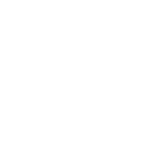 Wütendes Buch von Vera Gereke