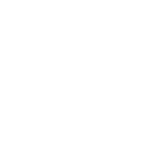 Wütendes Buch von Elsa Baschang