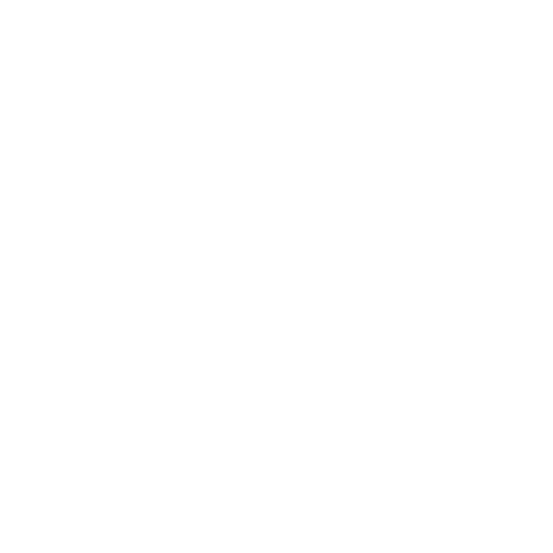 Wütendes Buch von Lena Köhler