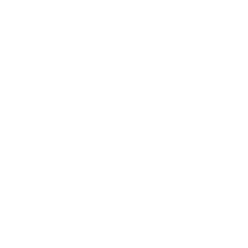 Wütendes Buch von Lena Köhler