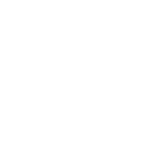 Wütendes Buch von Elsa Baschang