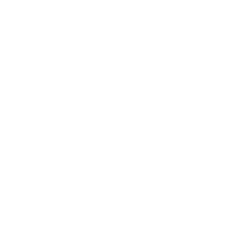 Wütendes Buch von Lena Köhler