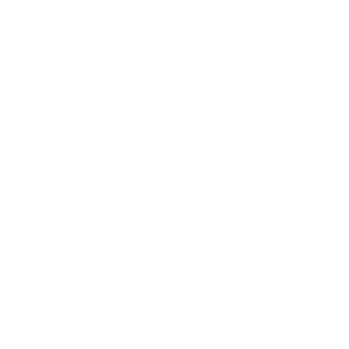 Wütendes Buch von OPTIK BOOKS, Eli Alaimo Di Loro