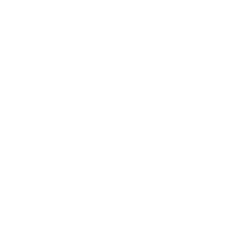 Wütendes Buch von Martha Kapfhammer