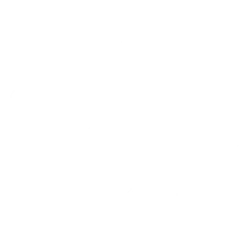 Wütendes Buch von Lasse Schulze