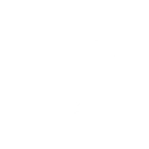 Wütendes Buch von Lasse Schulze