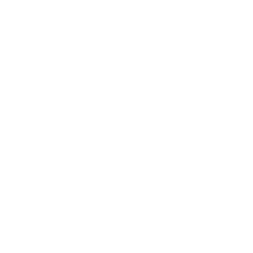 Wütendes Buch von Pati Schwegler