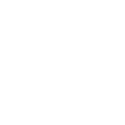 Wütendes Buch von Lina Ijn