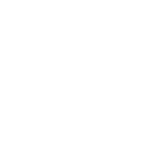 Wütendes Buch von Franka Rabe