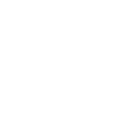 Wütendes Buch von Lea Schumm