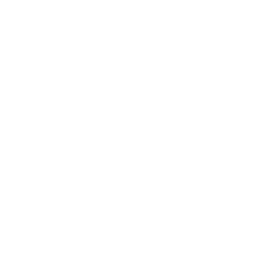 Wütendes Buch von Lea Schumm