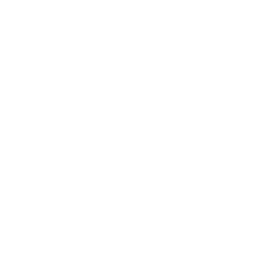 Wütendes Buch von Sophie Schantl