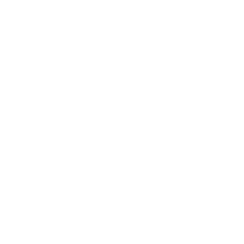 Wütendes Buch von Johanna Denecke