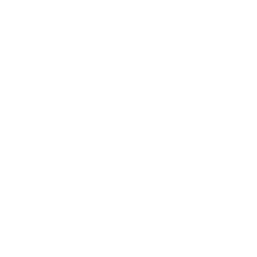 Wütendes Buch von Johanna Denecke