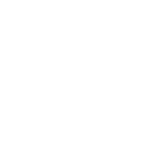 Wütendes Buch von Lisi Pressl