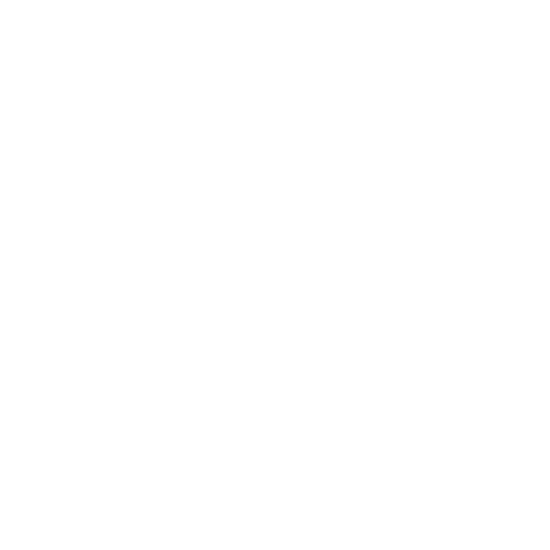 Wütendes Buch von Milena Schröder