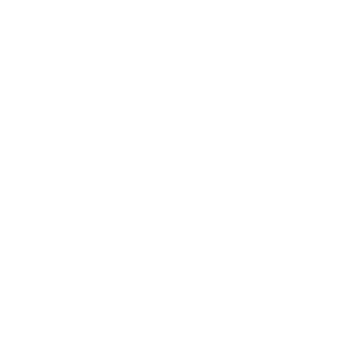 Wütendes Buch von Johanna Strahl