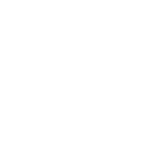 Wütendes Buch von Annika Lorenz