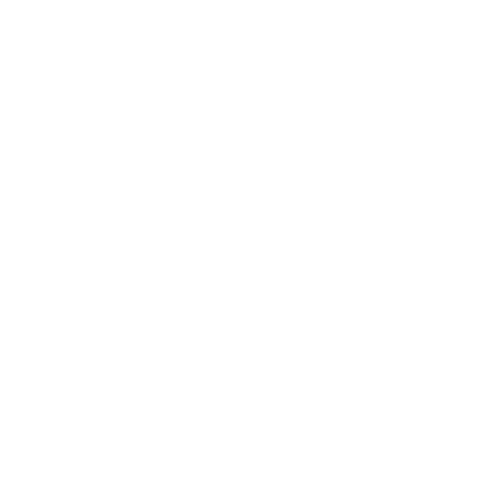 Wütendes Buch von Annika Lorenz