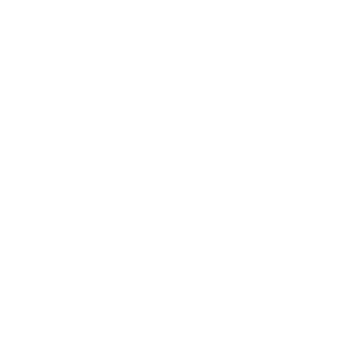 Wütendes Buch von Annika Lorenz