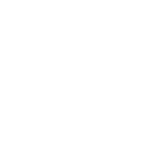 Wütendes Buch von Lara Voges