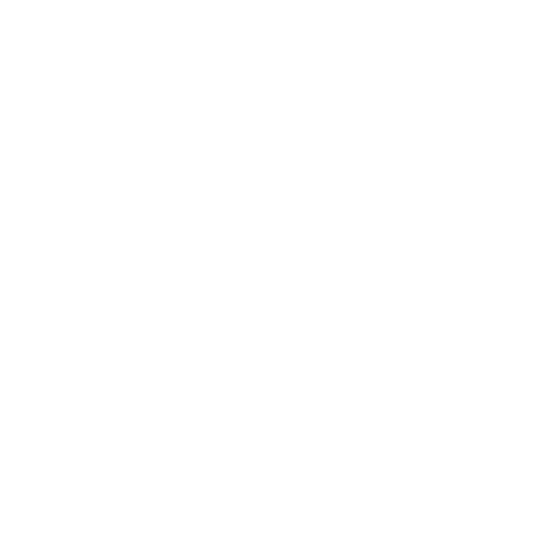 Wütendes Buch von Mina Schmitz