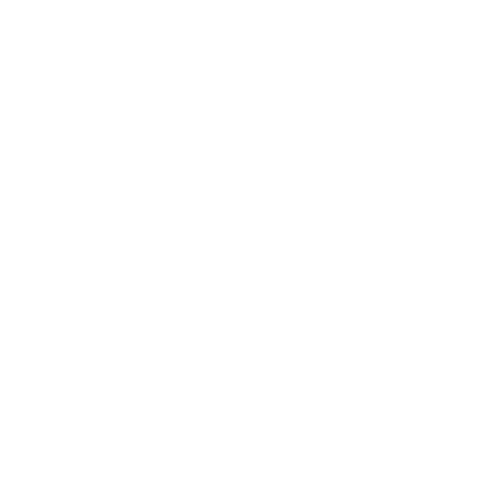 Wütendes Buch von Mina Schmitz