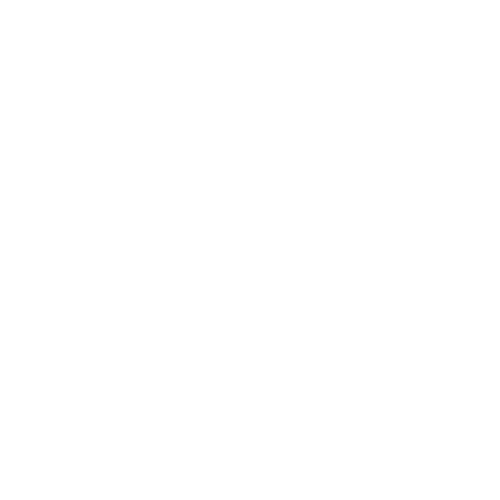 Wütendes Buch von Mina Schmitz