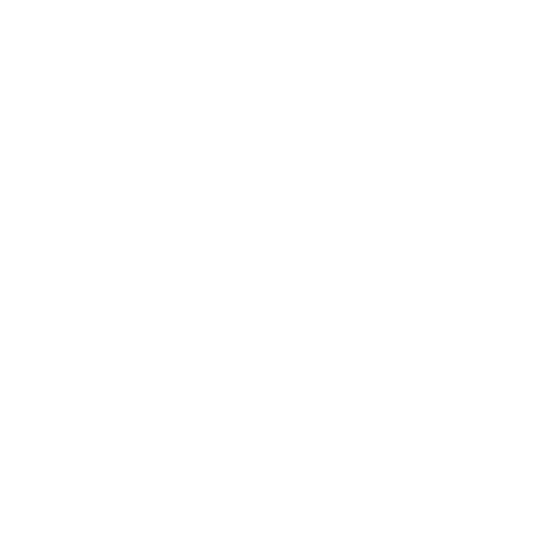 Wütendes Buch von Valynsky Studio