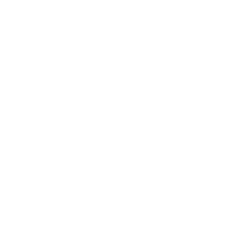 Wütendes Buch von Valynsky Studio