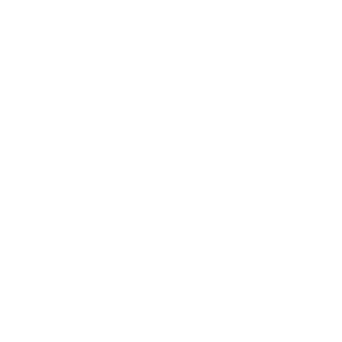 Wütendes Buch von Maria Rappsilber