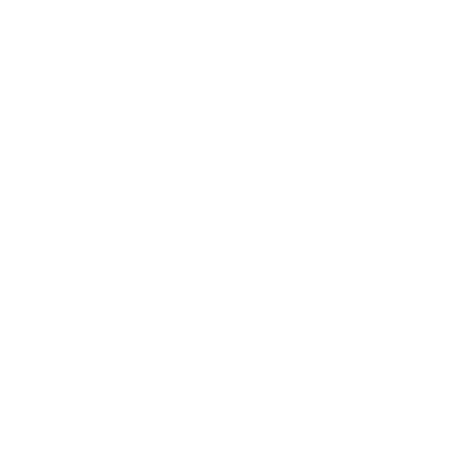 Wütendes Buch von Maria Rappsilber