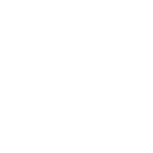 Wütendes Buch von Leo Blum