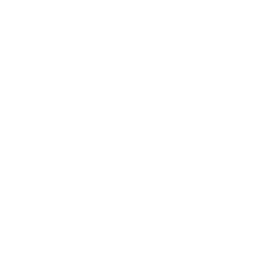 Wütendes Buch von Susi Rik