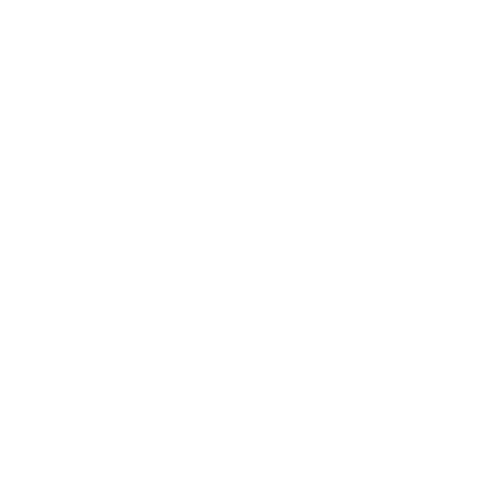 Wütendes Buch von Susi Rik