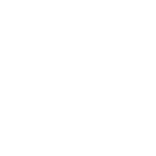 Wütendes Buch von Nora Prinz